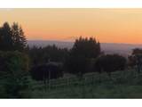 32784 Laurelview Rd - Photo 12