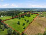 32784 Laurelview Rd - Photo 16