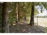 40920 Maple Ridge Rd - Photo 34