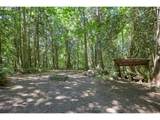 40920 Maple Ridge Rd - Photo 35