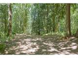 40920 Maple Ridge Rd - Photo 36