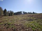 312 Dolan Rd - Photo 4