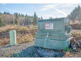 312 Dolan Rd - Photo 6