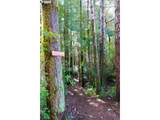 87444 Whistling Ln - Photo 3