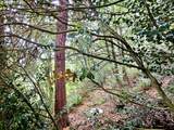 97790 Bank Chetco River Rd - Photo 14