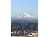 2221 1ST Ave - Photo 46