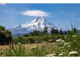 6455 Trout Creek Ridge Rd - Photo 4