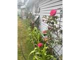 2478 Marion St - Photo 40
