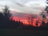 33318 Funny Farm Rd - Photo 24