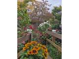 1811 149TH Ave - Photo 25