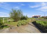 30335 Joy Ln - Photo 35
