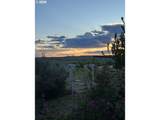 30335 Joy Ln - Photo 37
