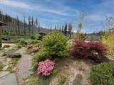 49164 Mckenzie Hwy - Photo 31
