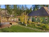 49164 Mckenzie Hwy - Photo 34