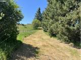 32784 Laurelview Rd - Photo 25