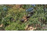 242 Rocky Point Ln - Photo 38
