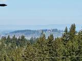 15540 Quall Rd - Photo 5