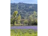 33685 Van Duyn Rd - Photo 27