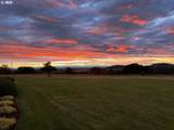 33685 Van Duyn Rd - Photo 39