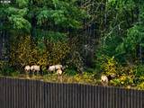 31890 Cater Rd - Photo 13