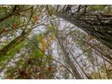 9740 Upper Olalla Rd - Photo 36