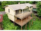 6902 2ND Ave - Photo 1