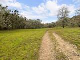 629 Buell Ln - Photo 43