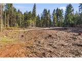 0 Green Mountain Rd. - Photo 5
