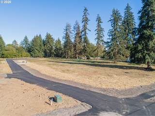 Brandon Fox Fox Real Estate Group