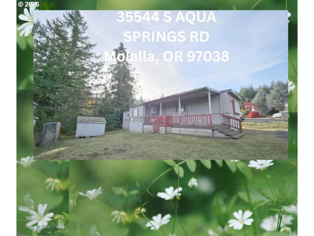 35544 Aqua Springs Rd - Photo 1
