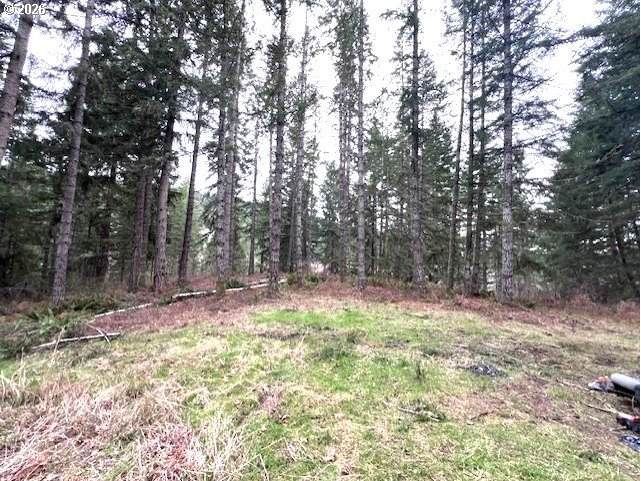  Highway 47 - Photo 1