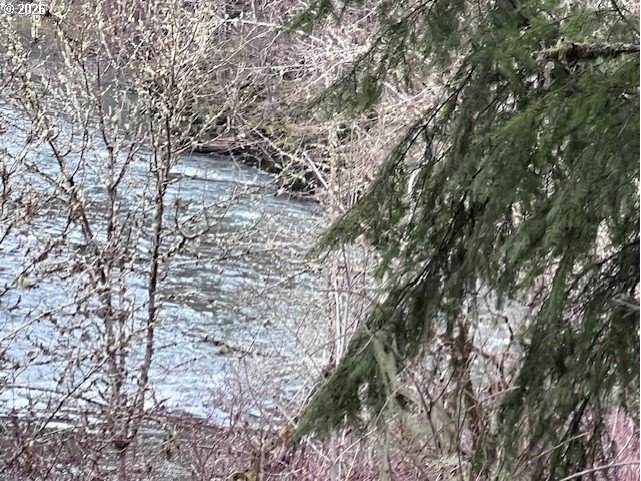 https://bt-photos.global.ssl.fastly.net/portland/orig_boomver_1_114885593-2.jpg