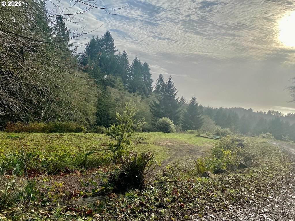 https://bt-photos.global.ssl.fastly.net/portland/orig_boomver_1_126637158-2.jpg