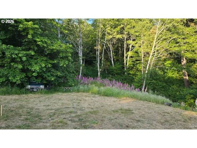 https://bt-photos.global.ssl.fastly.net/portland/orig_boomver_1_126637158-2.jpg