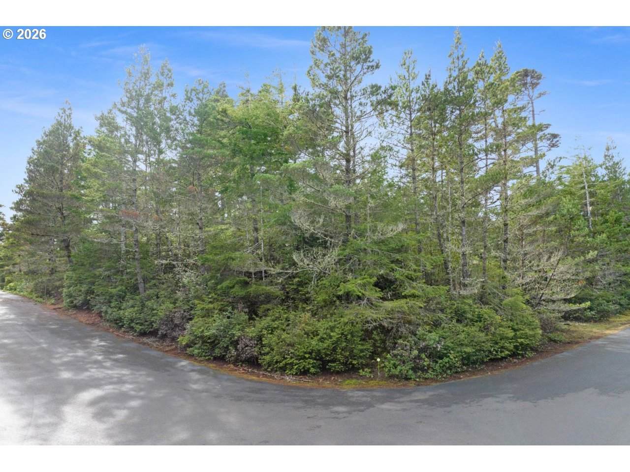  Wood Lake Way - Photo 1
