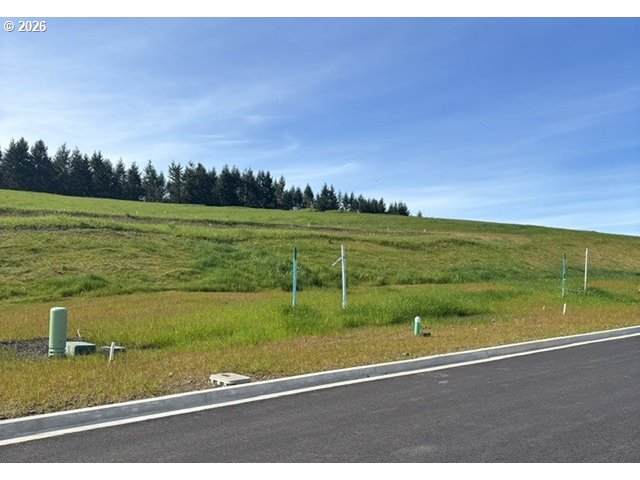 122 Valleys Edge St - Photo 1
