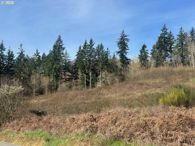 0 Jenny Creek Road - Photo 1