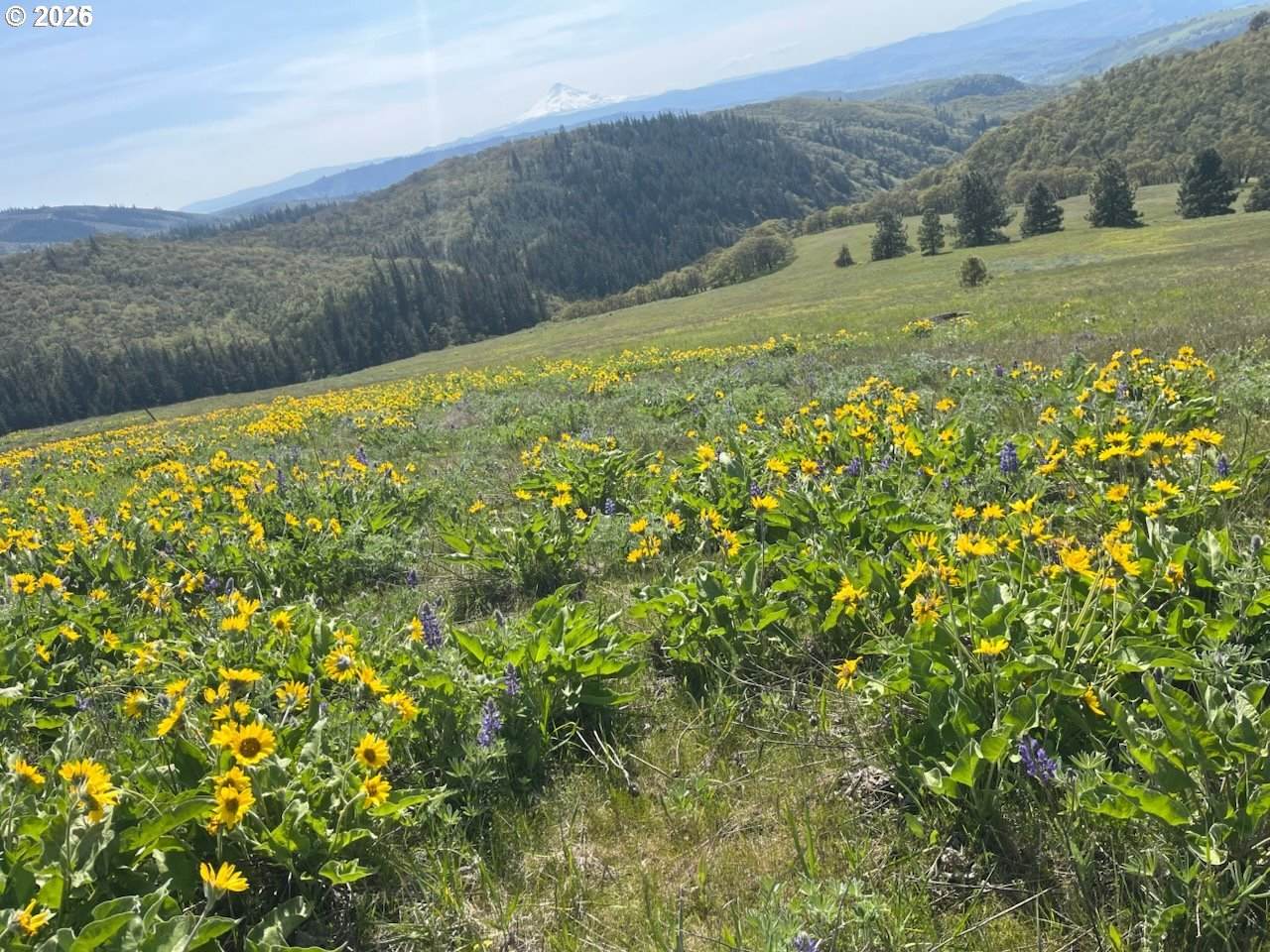 https://bt-photos.global.ssl.fastly.net/portland/orig_boomver_1_140068508-2.jpg