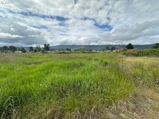 4 Springer St - Photo 1