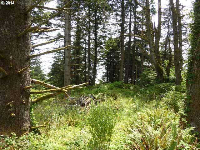 Old Hwy 101-Hunter C - Photo 1