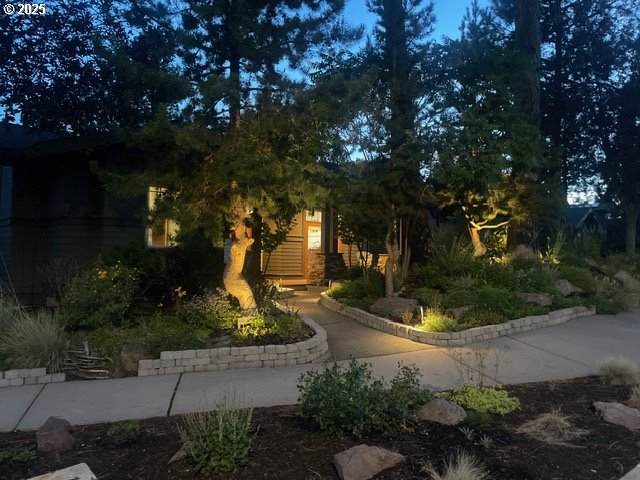 2429 Dorion Way - Photo 1