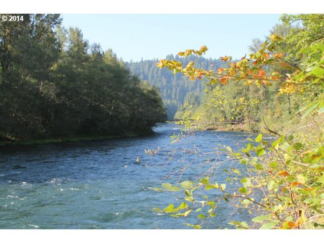 Mckenzie Hwy - Photo 1