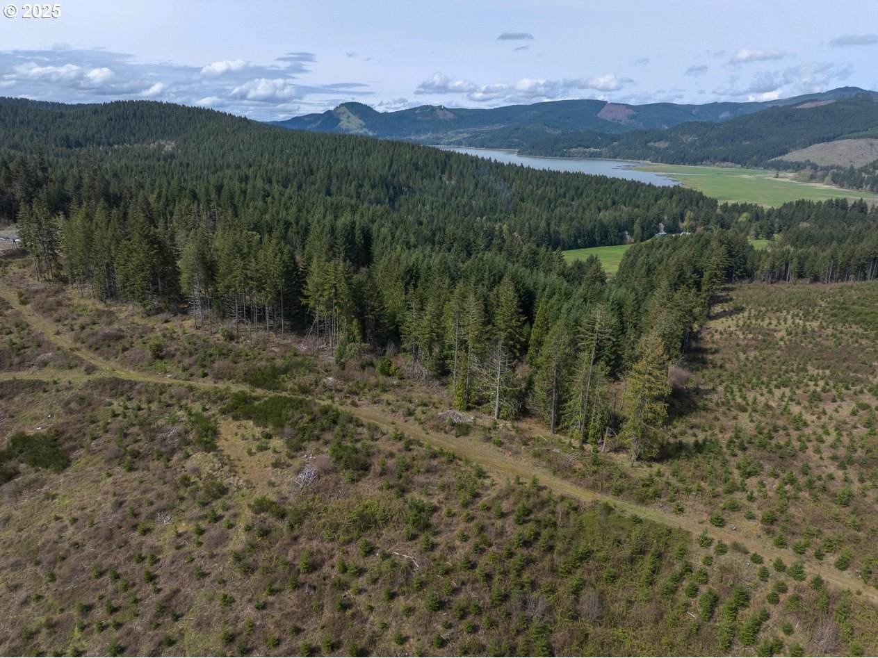 0 Blm Rd. 21-2-15 - Photo 1