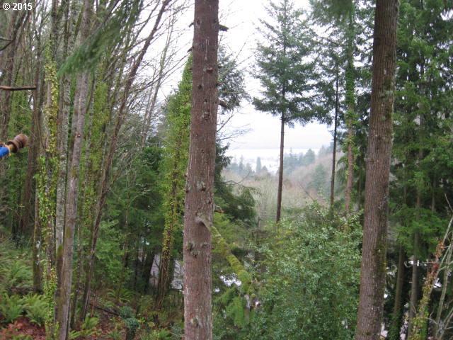 Maple Dr - Photo 1