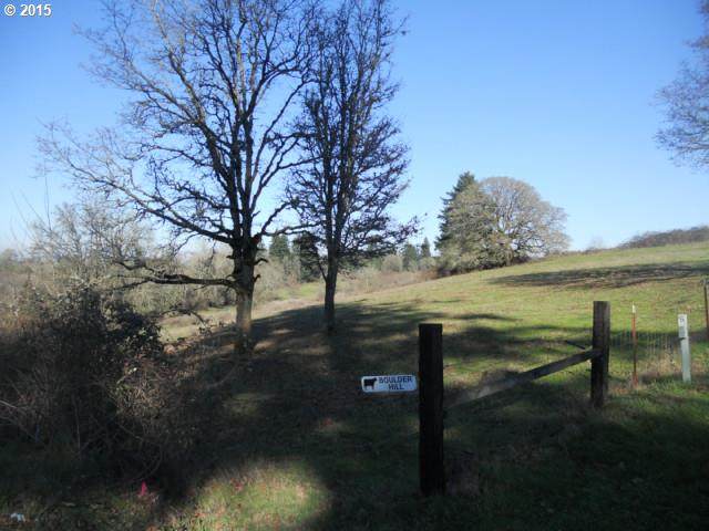 0 Battlecreek Rd - Photo 1