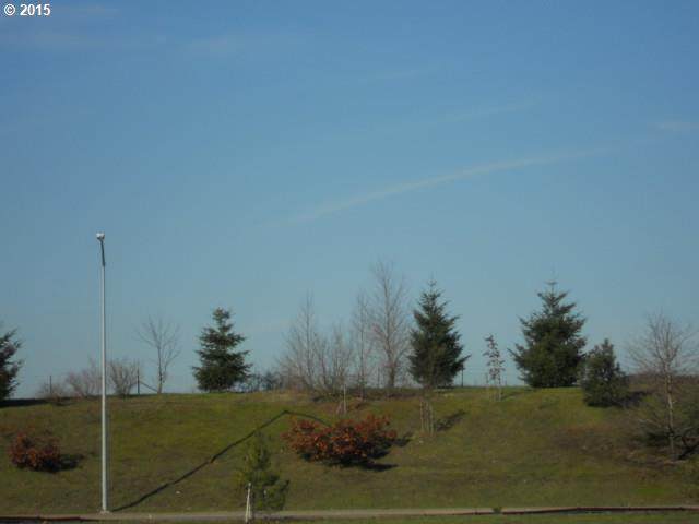 https://bt-photos.global.ssl.fastly.net/portland/orig_boomver_1_153217884-2.jpg