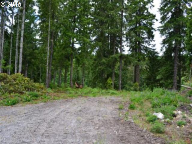 Lodgepole Ln - Photo 1