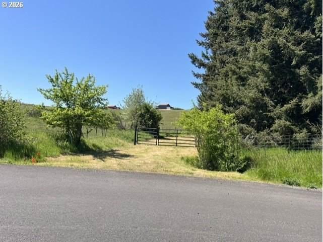 32784 Laurelview Rd - Photo 1