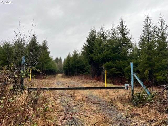 76781 Palm Hill Rd - Photo 1