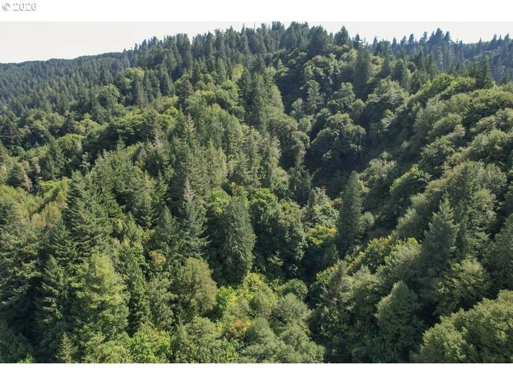 https://bt-photos.global.ssl.fastly.net/portland/orig_boomver_1_170330210-2.jpg